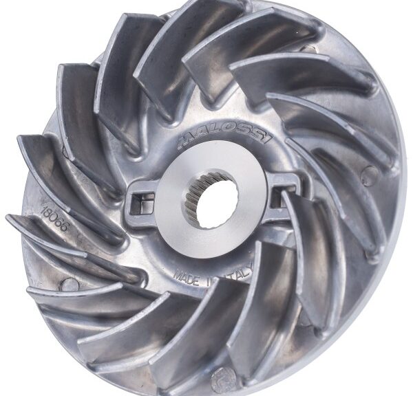 koelvin malossi vario euro-4/5 liberty 150cc