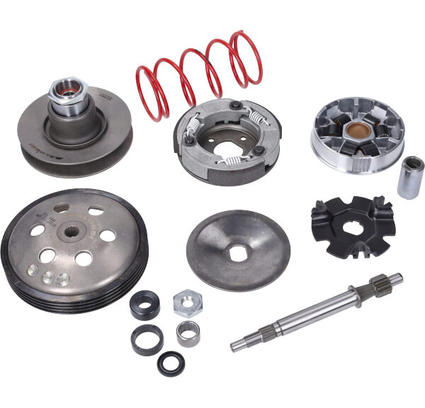 Overrange Systeem Malossi Bromfiets Vespa 6119262