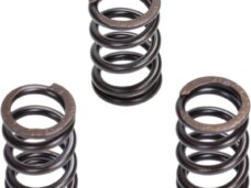 klep malossi veer set euro-5 liberty IGET