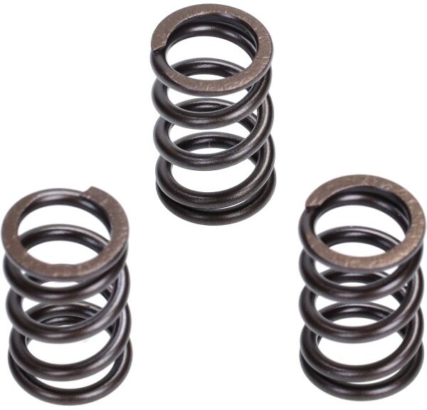 klep malossi veer set euro-5 liberty IGET