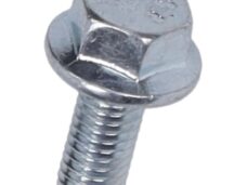 bout + flens m5x12mm beverly
