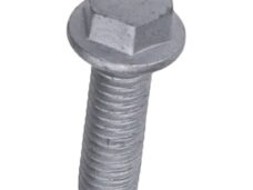 bout zeskant m6x20mm beverly