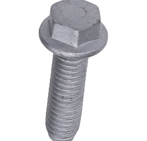 bout zeskant m6x20mm beverly