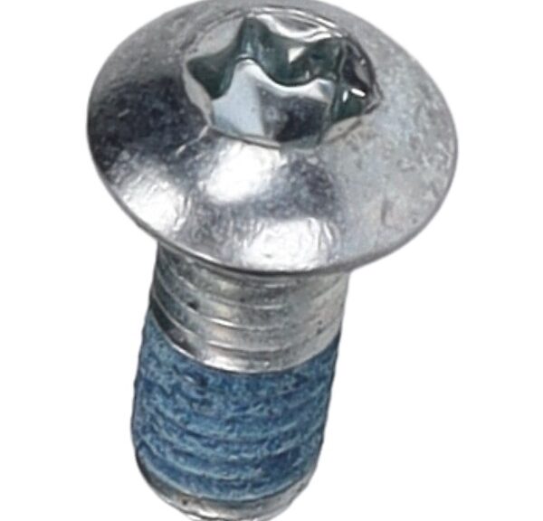bout Piaggio origineel torx bevestiging nokkenasplaat m5x12mm gts