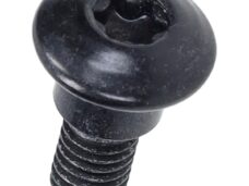 bout Piaggio origineel torx + borst m6x10mm beverly