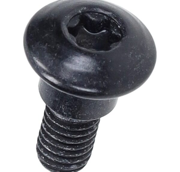 bout Piaggio origineel torx + borst m6x10mm beverly