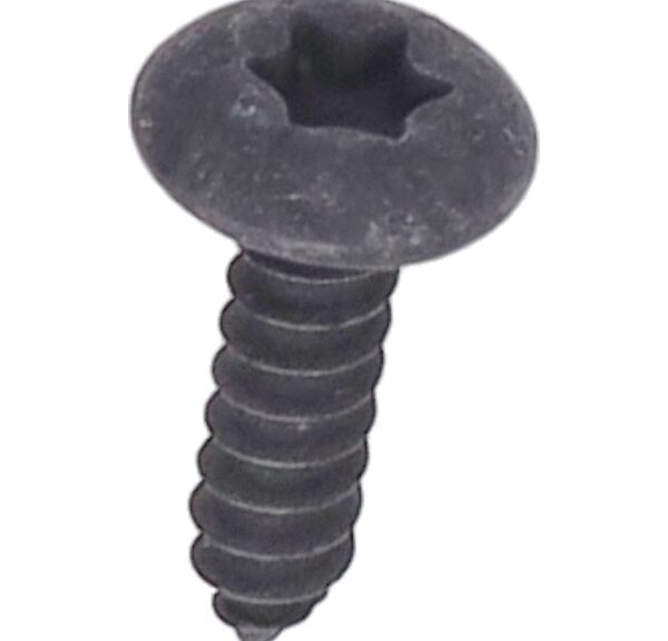 parker Piaggio origineel beplating torx 4.2x16mm gts