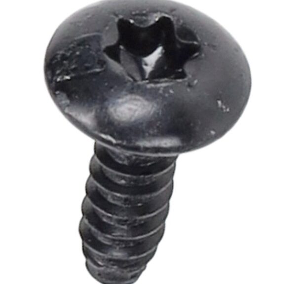 bout Piaggio origineel torx D4.2x13 beverly