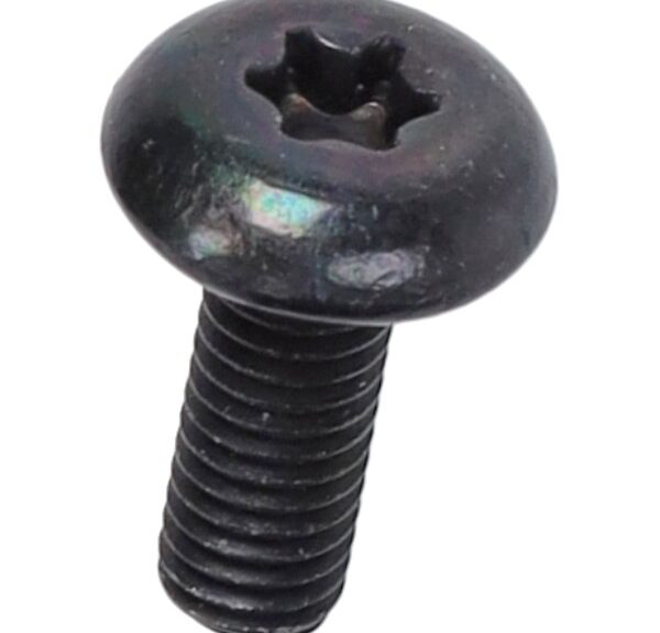 bout Piaggio origineel torx m6x16 beverly