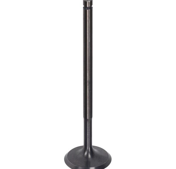 inlaatklep Piaggio origineel euro-4/5 25mm beverly 300cc