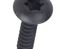 bout Piaggio origineel torx 4.2x29mm beverly