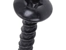 bout Piaggio origineel torx m4x16mm beverly