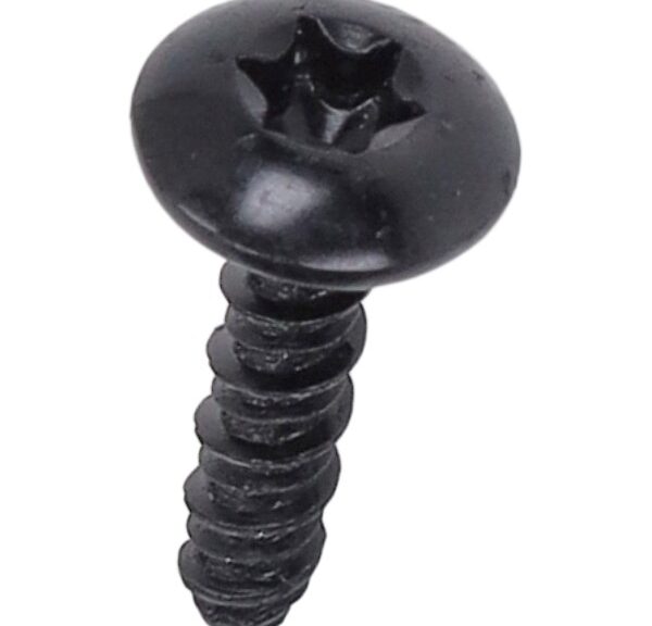 bout Piaggio origineel torx m4x16mm beverly