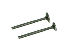 Kleppenset set in-/uitlaat 2pcs fiddle