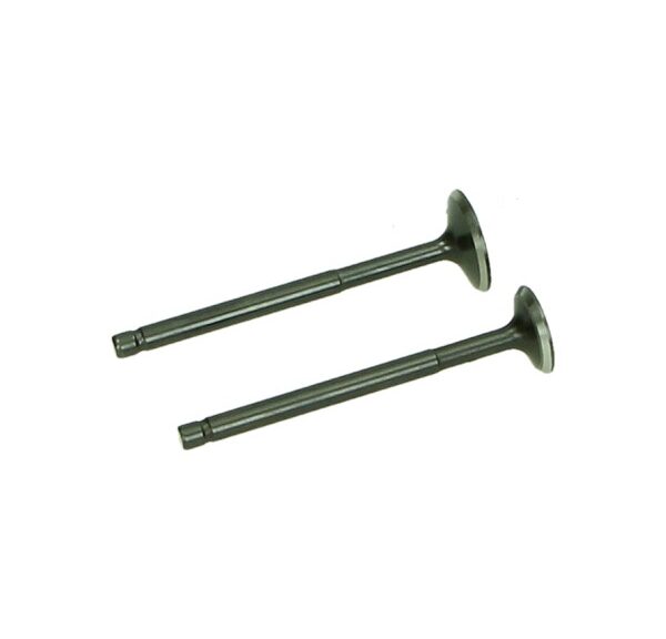 Kleppenset set in-/uitlaat 2pcs fiddle