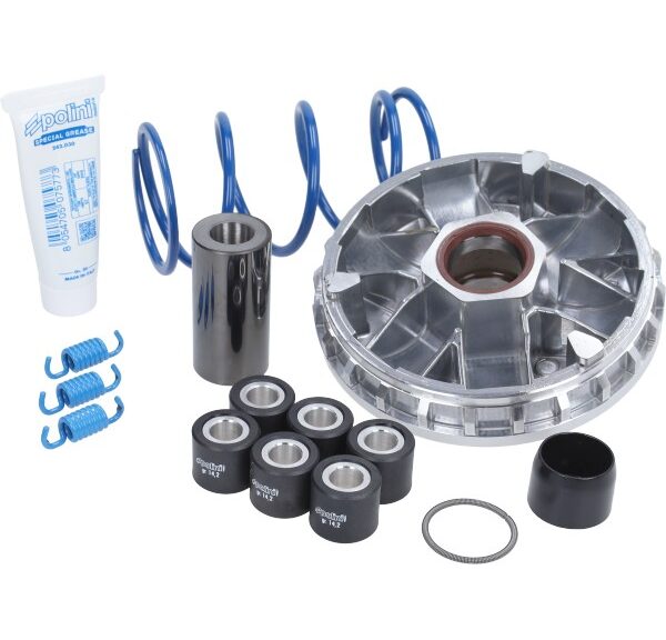 variokit polini euro-3/4 cruisym 250/300