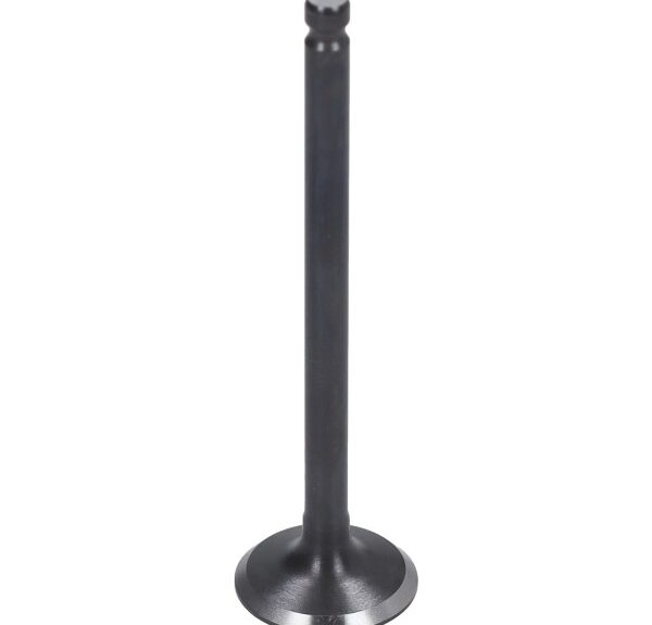 inlaatklep Sym origineel euro-5 19mm fiddle 2