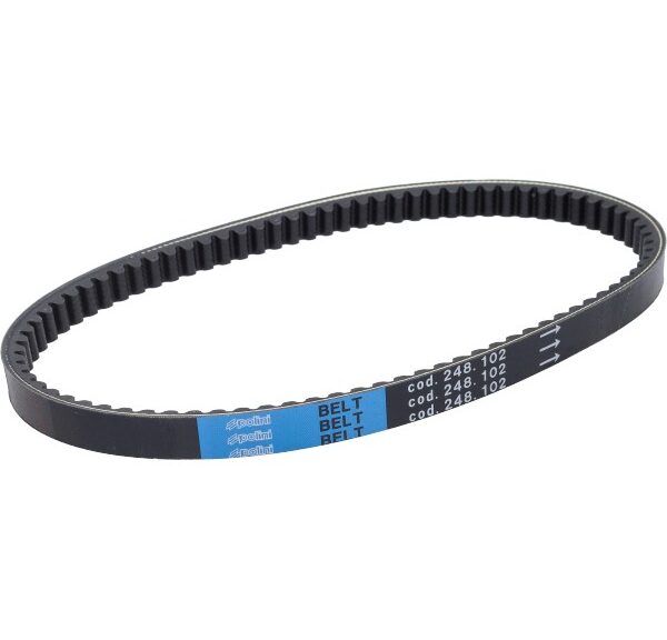 v-snaar polini 125/150cc