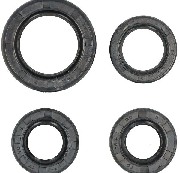 keerringset motorblok (voor gy6) 4-delig sco china 4t