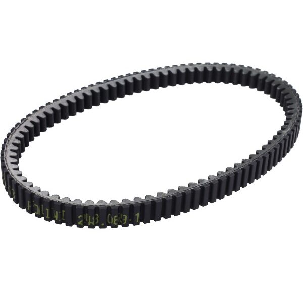 v-snaar polini kevlar EVO gts 300