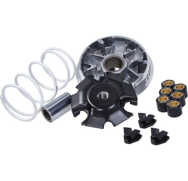variokit malossi Euro-5+ beverly 310cc