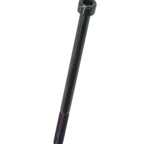 bout Piaggio origineel inbus m6x100mm 478171