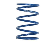 Koppelingdrukveer Polini Evo Slider 4.7 Sco Piaggio, Sco Piaggio 2t, Sco Piaggio 4t, Sprint 2t, Sprint 4t 243.113