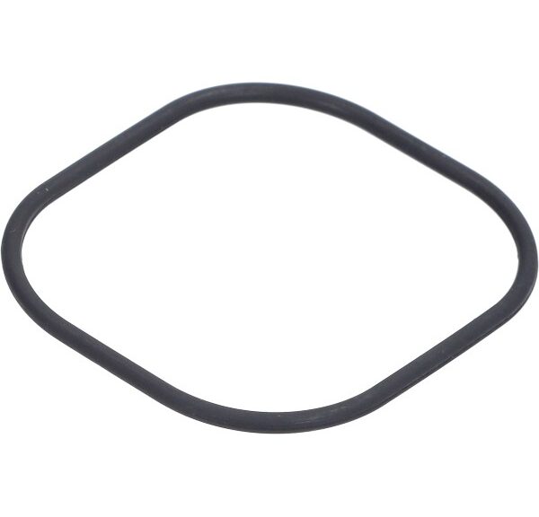 o-ring Piaggio origineel M19 piaggio
