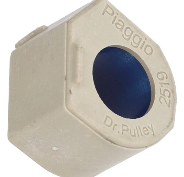 variorol Piaggio origineel 19.0gr 25x19mm srv850