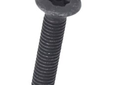 bout Piaggio origineel torx windscherm m6x30mm beverly