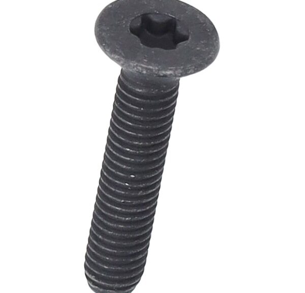 bout Piaggio origineel torx windscherm m6x30mm beverly