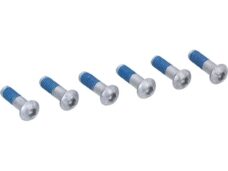 boutset remschijf bolkop m6x20mm 6pcs derbi