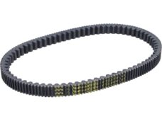 v-snaar malossi 825x22.2 euro 4/5 dragster 300