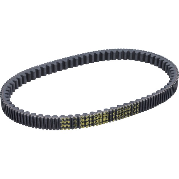 v-snaar malossi 825x22.2 euro 4/5 dragster 300