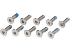 bout remschijf m6x20mm 10pcs beverly
