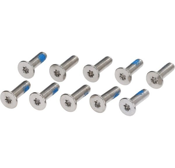 bout remschijf m6x20mm 10pcs beverly