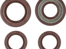 keerringset BGM PRO viton hexagon 125cc