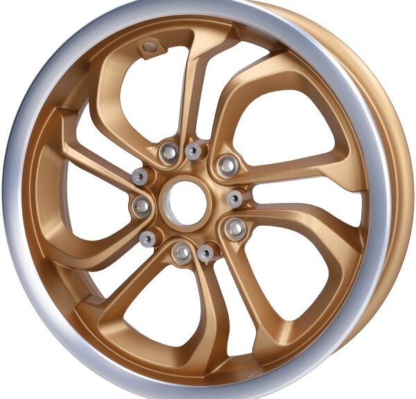 achterwiel Piaggio origineel officina 8 300x12 messing gtv 310 1c008283000m04