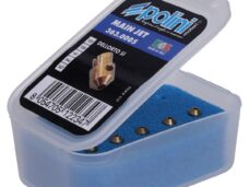 sproeierset polini dellorto SI 155-167 4mm 5pcs 363.0005