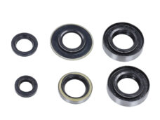 Olie keerringset voor Sachs 3v 4v kickstartmotor brommer Sparta
