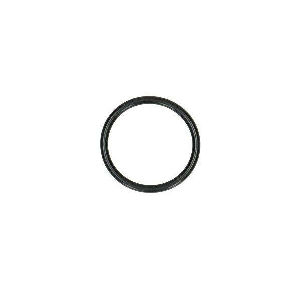 o-ring carburateur 2-bouts 20mm