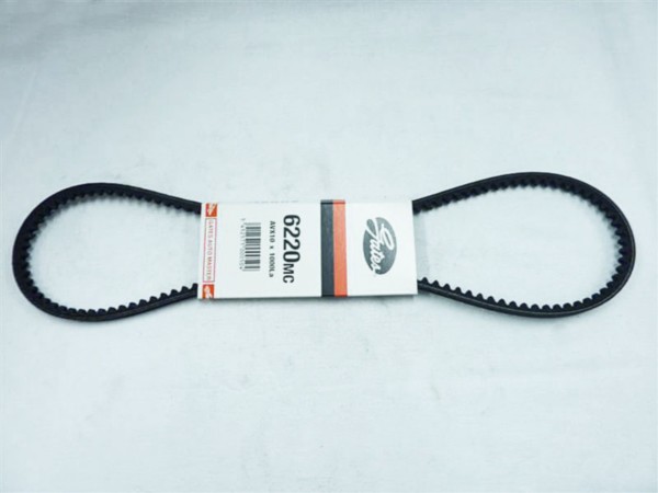 v-snaar bando 1000mm ciao
