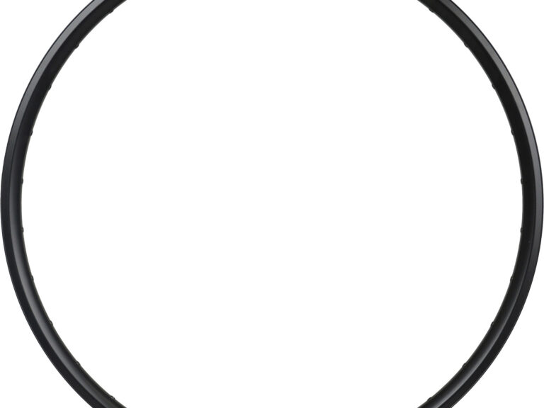 Ambrosio velg Meistern 29" 36g asymmetrisch zwart