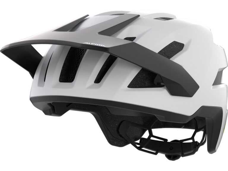 Alpina fietshelmen. ✓ Snel geleverd ✓ Gratis verzending v.a. €75