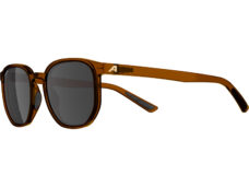 Alpina Sports lifestyle bril Dimont bruine lens bruin