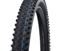 Schwalbe vouwband Racing Ray Evolution 57-622 TLE zwart