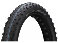 Schwalbe vouwband Jumbo Jim Evolution 100-559 TLE zwart