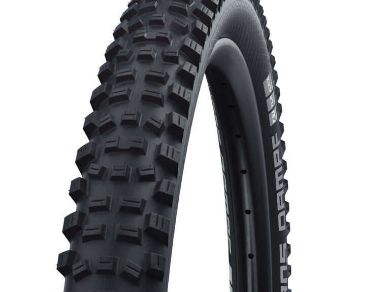 Schwalbe Buitenband zwart