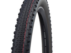 Schwalbe ulkorengas