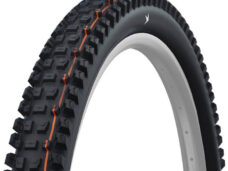 Schwalbe vouwband Albert Evo Trail Pro 63-622 TLR zwart